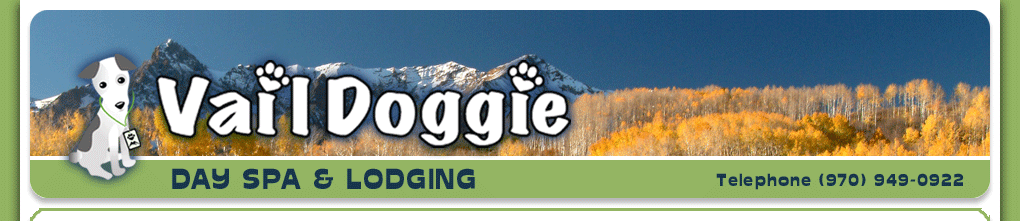 Vail Doggie Day Spa & Lodging - (970) 949-0922
